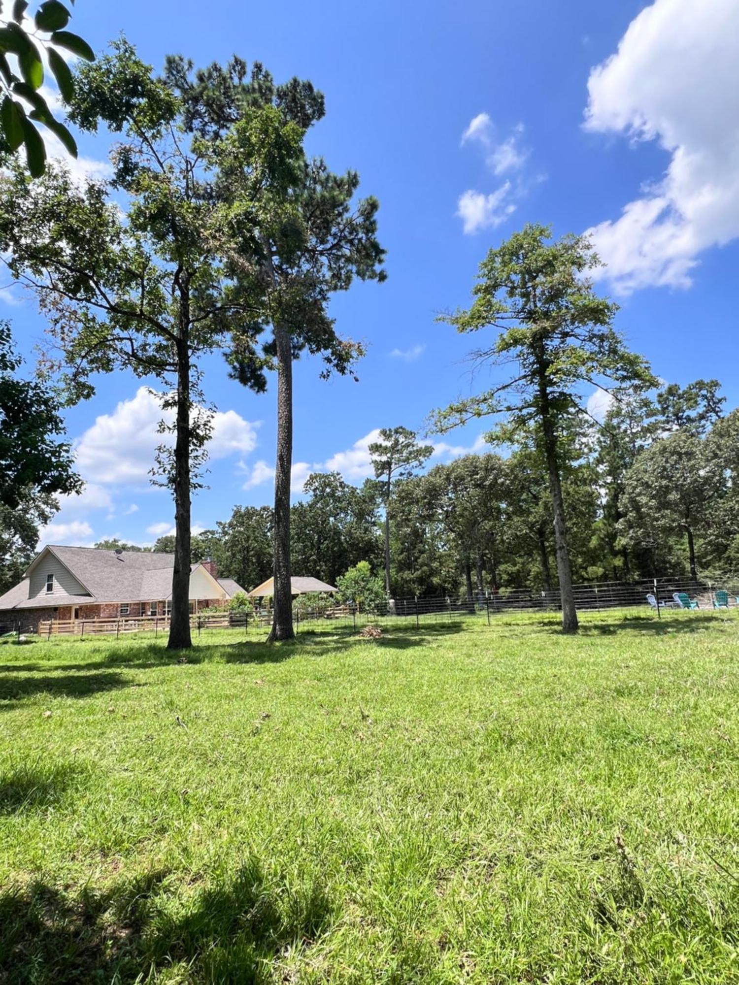 מגנוליה Country Getaway 4 Bedroom Resort In 10 Acre Lot מראה חיצוני תמונה